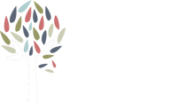 breeze finance white